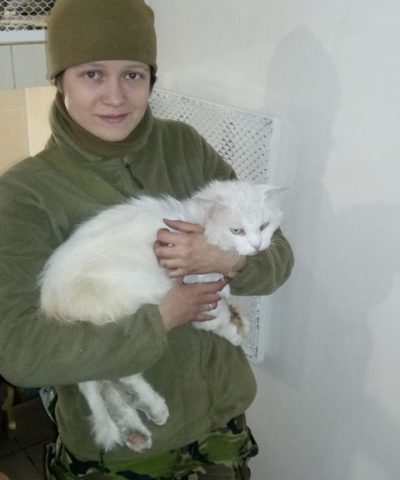 Котик 17 марта (1)