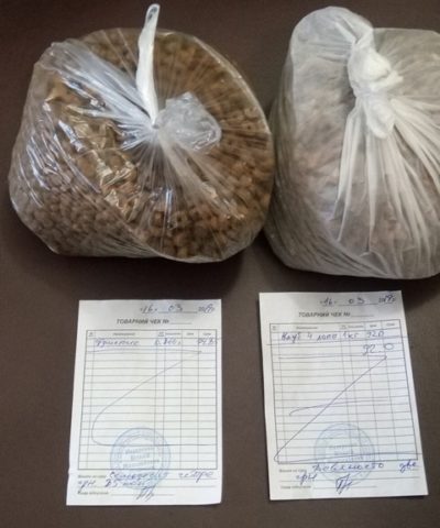 Котик 17 марта (3)