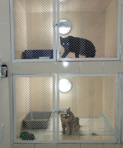 Ночка и Гладкая (1)