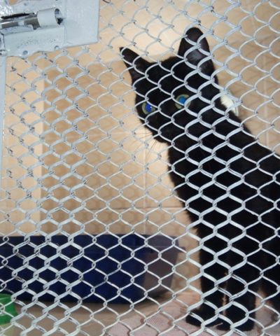 Ночка и Гладкая (3)