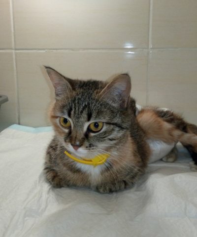 Ночка и Гладкая (5)