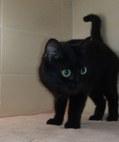 Ночка и Гладкая (6)