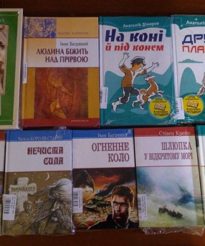 Посылка 2 (4)